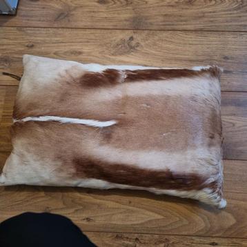 Springbok Kussen - Uniek Decoratief Item beschikbaar voor biedingen