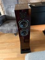 Piega 5.0 classic luidsprekerset, Audio, Tv en Foto, Luidsprekers, Overige merken, Ophalen of Verzenden, Zo goed als nieuw, 120 watt of meer