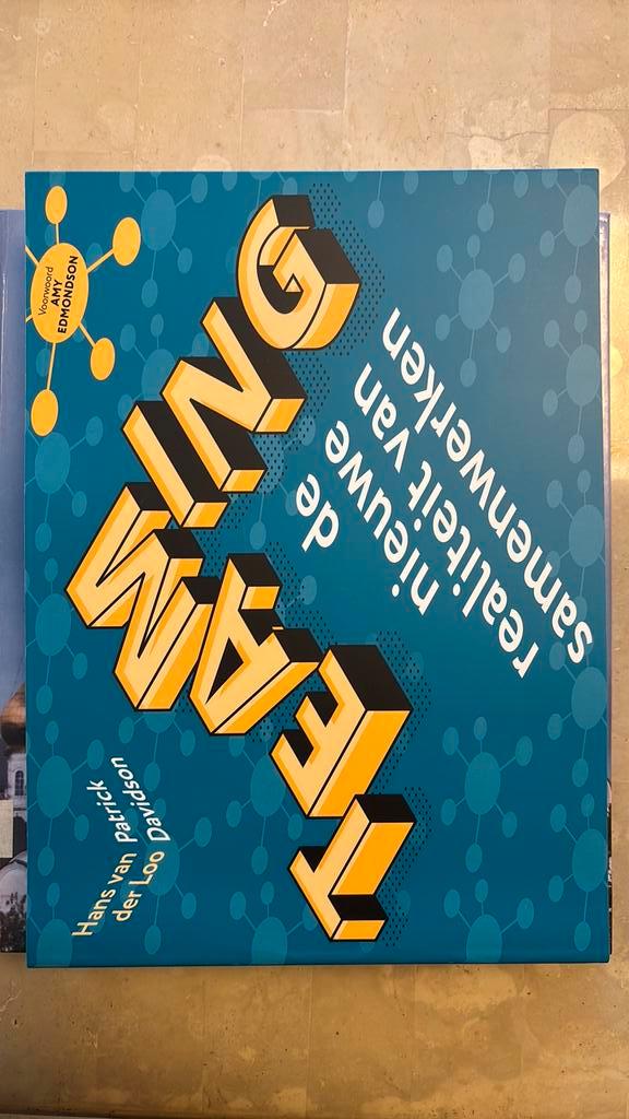 Hans van der Loo - Teaming, Boeken, Advies, Hulp en Training, Zo goed als nieuw, Ophalen of Verzenden