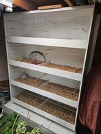 Meerdere volières en vogelkooien. Zelf demonteren., Dieren en Toebehoren, Ophalen, Hout, Vogelkooi