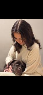 Hondenoppas aangeboden!, Februari, Meerdere dieren