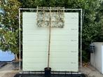 Quercus Ilex std Espalier, hoogte 230 cm, In pot, Leiboom, Halfschaduw, Ophalen of Verzenden