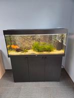 Compleet Juwel Rio led 240, Dieren en Toebehoren, Vissen | Aquaria en Toebehoren, Ophalen, Zo goed als nieuw, Leeg aquarium