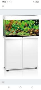 Juwel Rio 125 LED, Dieren en Toebehoren, Ophalen, Zo goed als nieuw, Gevuld zoetwateraquarium