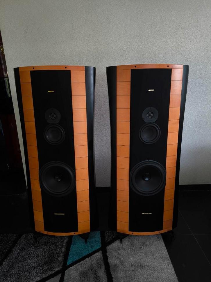 Sonus Faber Elipsa - Topklasse Luidsprekers, Audio, Tv en Foto, Luidsprekers, Zo goed als nieuw, Front, Rear of Stereo speakers