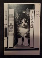 Klein poesje tussen boeken, Verzenden, 1980 tot heden, Gelopen, Hond of Kat