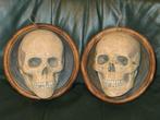 set van 2 levensgrote schedels mens, Halloween jachttrofee, Verzenden, Zo goed als nieuw, Halloween of Griezel