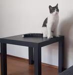 Two pieces of ikea black coffee table. Cat not for sale :), Ophalen, Minder dan 50 cm, Gebruikt, Vierkant