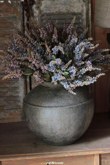 Tak pieris blue of purple met vijf vertakkingen beschikbaar voor biedingen