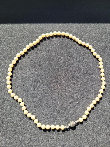 Geisha parelhalsketting 66 parels van 3mm beschikbaar voor biedingen