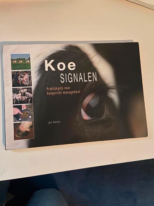 Jan Hulsen - Koesignalen, Boeken, Wetenschap, Zo goed als nieuw, Ophalen of Verzenden