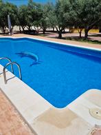 Finca/ villa in Aspe/ alicante, Dorp, Internet, 4 of meer slaapkamers, Costa Blanca