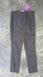 Miss Etam – antraciet broek maat 36, Nieuw, Ophalen of Verzenden, Maat 36 (S), Miss Etam