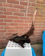 Aquariumhout kienhout XXL, Ophalen of Verzenden