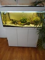 Complete aquarium incl vissen en accessoires, Dieren en Toebehoren, Vissen | Aquaria en Toebehoren, Ophalen, Gevuld zoetwateraquarium