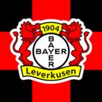 Bayer Leverkusen tickets, Tickets en Kaartjes, Sport | Voetbal, Losse kaart, Twee personen, Buitenland