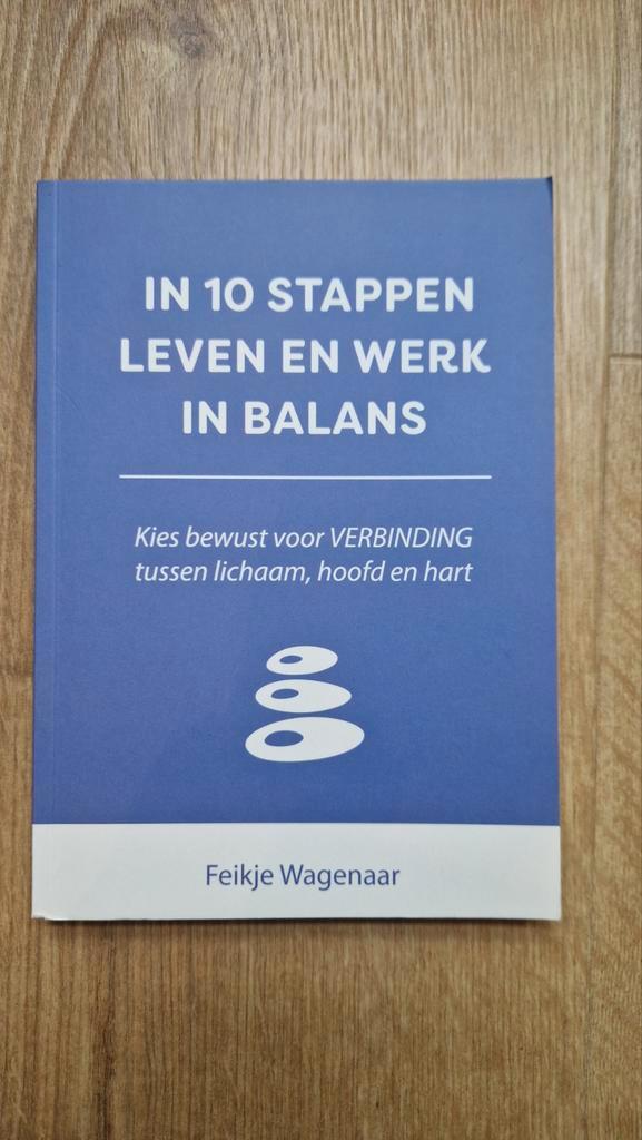 Feikje Wagenaar - In 10 stappen leven en werk in balans, Boeken, Psychologie, Zo goed als nieuw, Ophalen of Verzenden