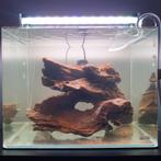 Aquascape set - Aquarium, Ophalen, Gebruikt, Leeg aquarium