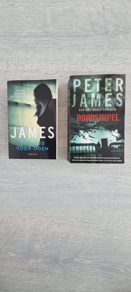 DE DOOD VOOR OGEN/DOODSIMPEL  DOOR PETER JAMES, Boeken, Thrillers, Zo goed als nieuw, Ophalen of Verzenden