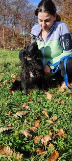 Lulu, lief en aanhankelijke dame op zoek naar een warm thuis, Dieren en Toebehoren, Particulier, Rabiës (hondsdolheid), Buitenland