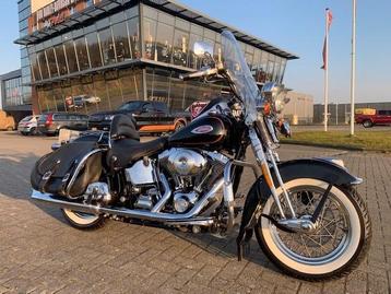 Harley-Davidson FLSTS SPRINGER SOFTAIL (bj 2001) beschikbaar voor biedingen