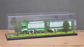 Dioramavitrine, veebouw beschikbaar voor biedingen