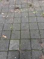Stoeptegels 30 x 30 ongeveer 50 m2, Tuin en Terras, Tegels en Klinkers, Ophalen, Gebruikt, Beton, Overige typen
