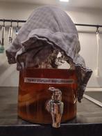 Kombucha SCOBY + Starterthee voor Beginners, Ophalen