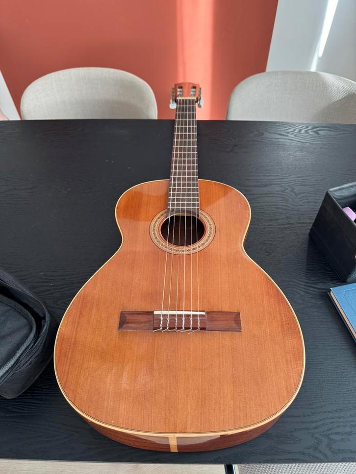 Juan Salvador model 2 akoestische beginnersgitaar, Muziek en Instrumenten, Snaarinstrumenten | Gitaren | Akoestisch, Zo goed als nieuw
