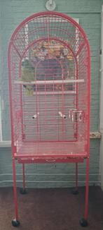 Papegaaienkooi, Dieren en Toebehoren, Vogels | Hokken en Kooien, Ophalen, Metaal, Vogelkooi