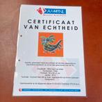 Schilderij Peko - Witte Haan op Oranje Abstract 60x60cm, Ophalen of Verzenden