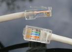 Netwerk kabel 2 of 3 meter met RJ45 NIEUW, Ophalen of Verzenden, Nieuw