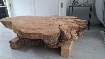 Houten boomstam schijf (98cm breed) Iep 2 jaar gedroogd