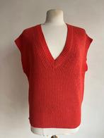 sissy boy trui maat s oranje, Kleding | Dames, Truien en Vesten, Verzenden, Zo goed als nieuw, Maat 36 (S), Sissy-Boy