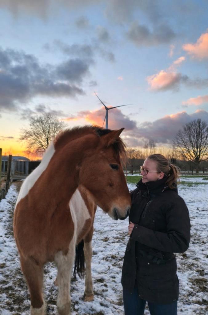 Gezocht stoere verzorger/ondersteunende bijrijder, Dieren en Toebehoren, Overige Dieren, Mannelijk, Mei