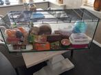 Te koop knaagdier kooi of terrarium zgan 100x40x40 cm, Dieren en Toebehoren, Hamster, Zo goed als nieuw, Hok, 75 tot 110 cm