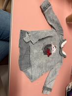 Lief truitje Lapin House mt 74, Ophalen of Verzenden, Zo goed als nieuw, Meisje, Truitje of Vestje