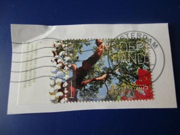 Nederland 2025 - Tourist Tree met tab op papier - gest. beschikbaar voor biedingen