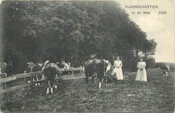 (304-011-039) Voorschoten In de Wei beschikbaar voor biedingen
