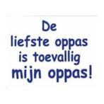 Oppas aangeboden voor kinderen of ouderen (Den Haag e.o.), Diensten en Vakmensen, Oppas en Kinderopvang, Oppas aan huis