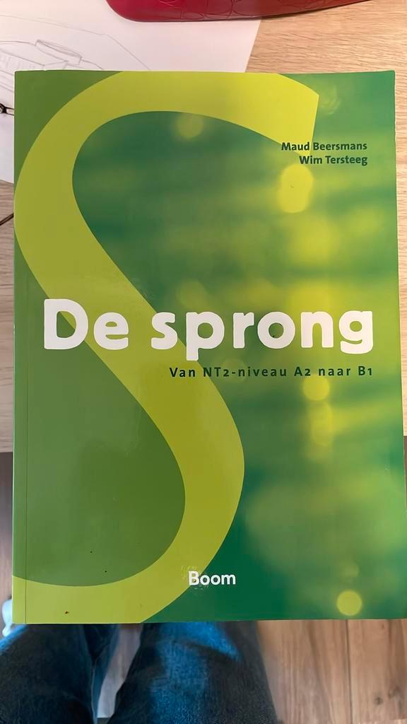 De Sprong NT2 - A2 naar B1, Boeken, Schoolboeken, Zo goed als nieuw, Nederlands, Overige niveaus, Ophalen of Verzenden
