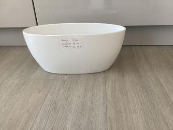 Witte Bloempot - Stijlvol & Tijdloos beschikbaar voor biedingen