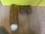 Nieuw Furry costum masker en staart, Maat 38/40 (M), Carnaval, Nieuw, Ophalen of Verzenden