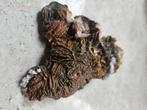 Mooi stuk vanadiniet / bariet mineraal, Ophalen of Verzenden, Mineraal