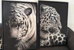 Tijger/panterkop Canvas in baklijst 90x60, Ophalen of Verzenden, 50 tot 75 cm, Schilderij, 75 cm of meer