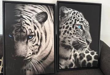 Tijger/panterkop Canvas in baklijst 90x60 beschikbaar voor biedingen