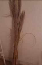 PAMPAS PLUIMEN, Huis en Inrichting, Ophalen, Zo goed als nieuw