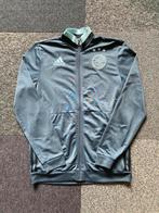 Trainingsjack grijs/blauw Ajax Adidas maat 176, Maat XS of kleiner, Ophalen of Verzenden, Gebruikt, Overige typen