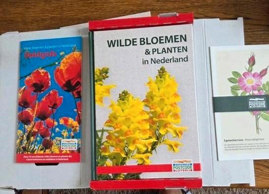 Wilde bloemen & planten in Nederland, Boeken, Natuur, Nieuw, Bloemen, Planten en Bomen, Ophalen of Verzenden