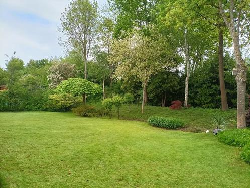 Tuinman aangeboden, Tuin en Terras, Gras en Kunstgras, Ophalen of Verzenden